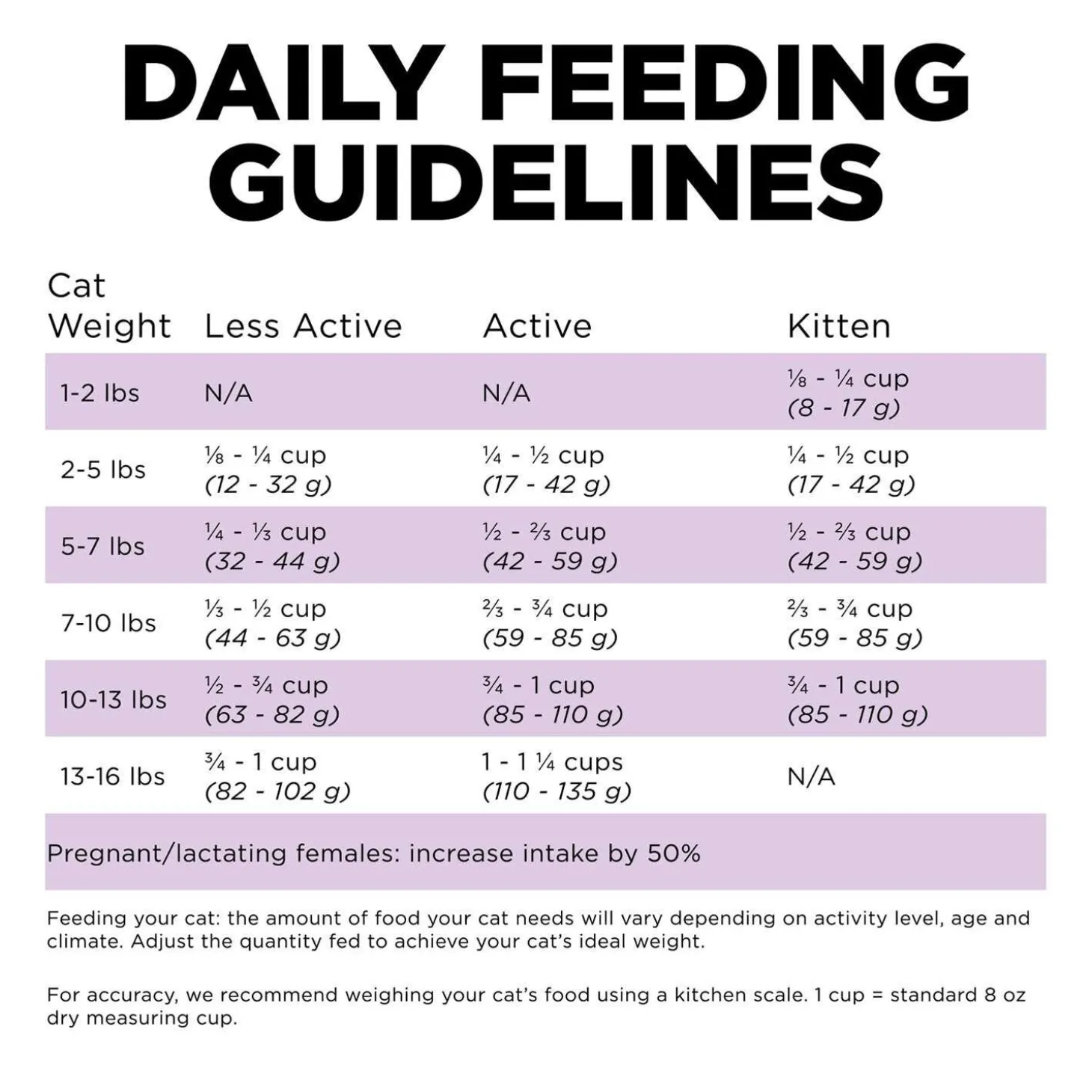 Carnivore Grain-Free Chicken, Turkey + Duck Recipe Cat Food