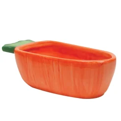 Carrot Vege-T-Bowl for Small Animals