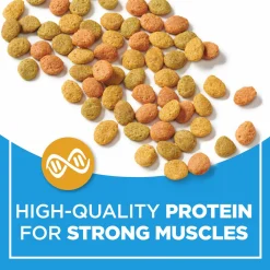 Cat Chow Complete Real Chicken Cat Food