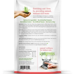 Cat Craves Salmon Flavour Cat Treats