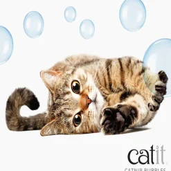Catnip Bubbles
