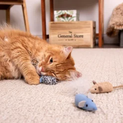 Catnip Caravan Mice Cat Toys