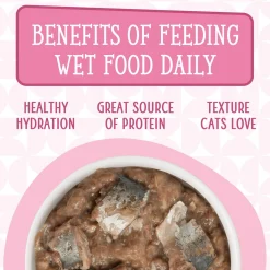 Cats in the Kitchen Kitty Gone Wild Salmon Recipe Adult Cat Food