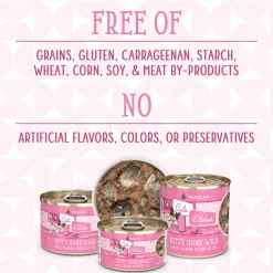 Cats in the Kitchen Kitty Gone Wild Salmon Recipe Adult Cat Food