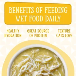 Cats in the Kitchen Pumpkin Lickin' Chicken in Pumpkin Soup Recipe Adult Cat Food