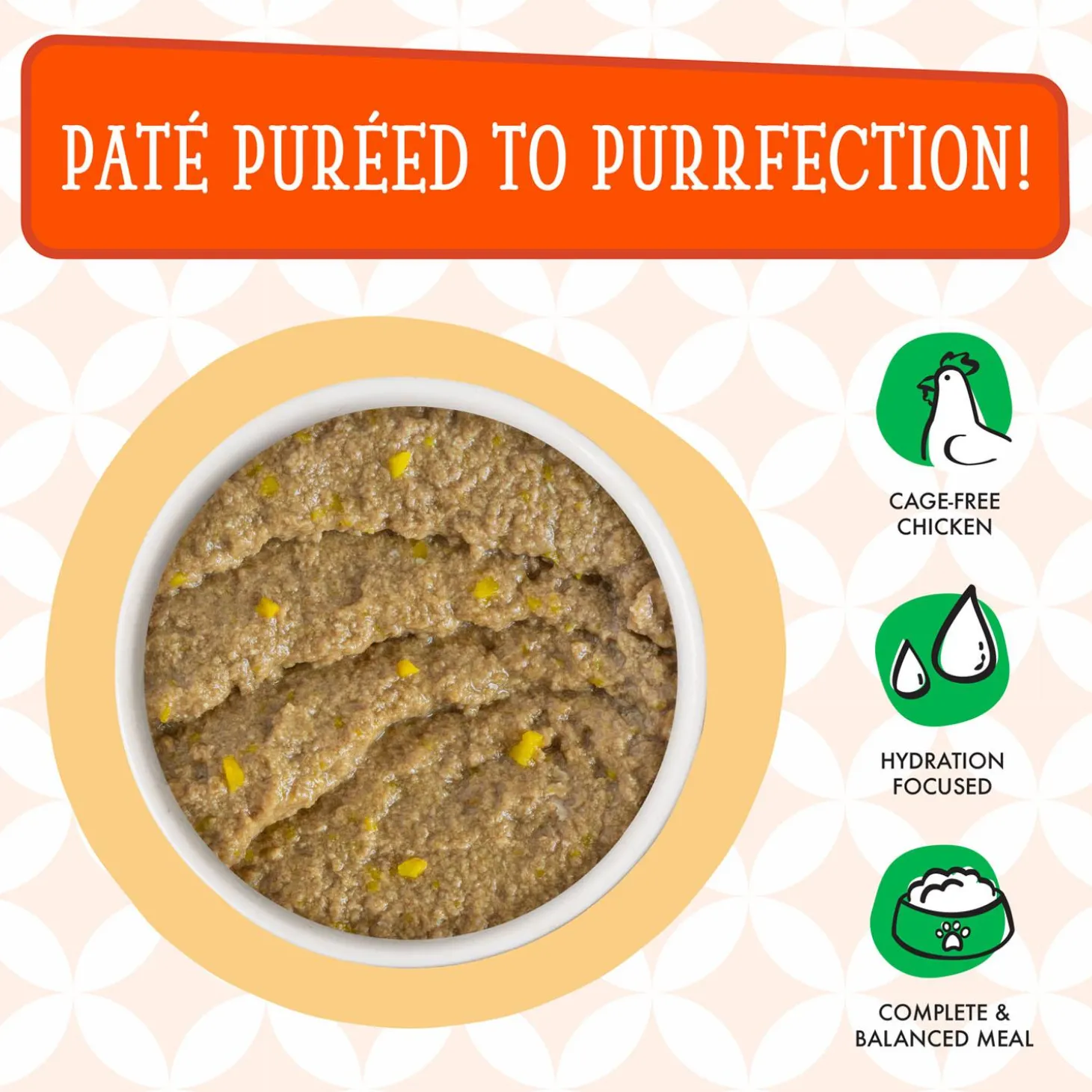 Cats in the Kitchen The Breakfast Cat Chicken & Pumpkin Dinner Adult Cat Food