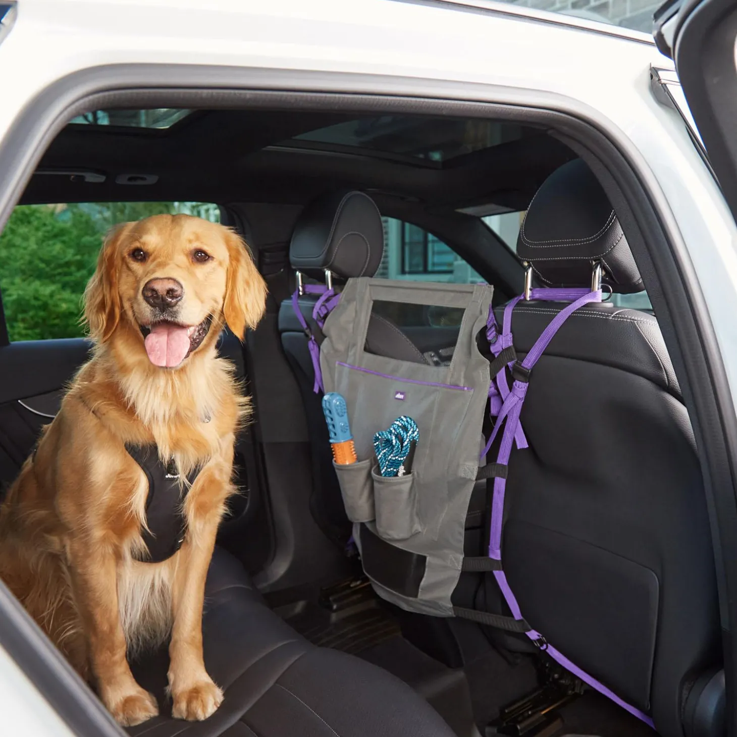 Charcoal Grey Backseat Barrier