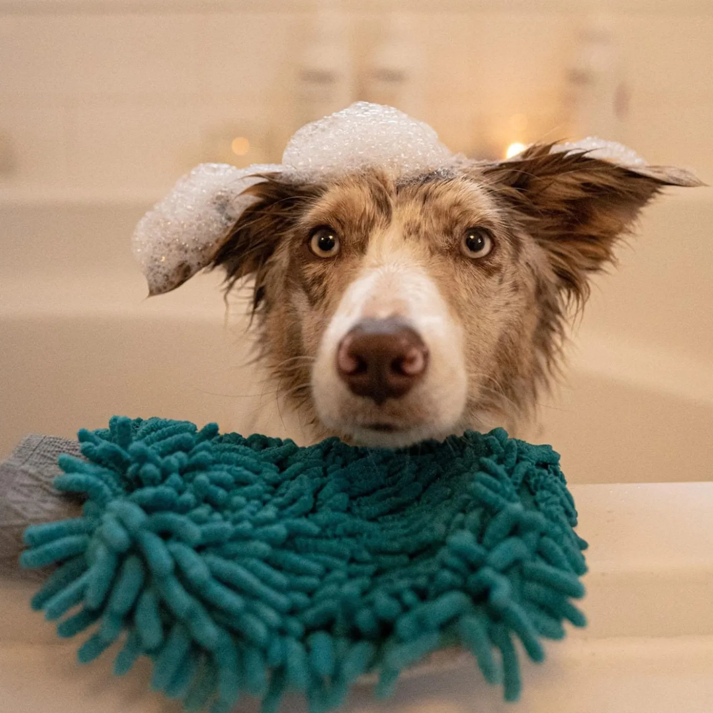 Chenille Grooming Dog Mitt