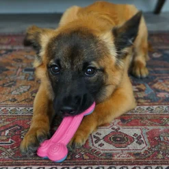 ChewStix Curved Bone Puppy Dog Toy