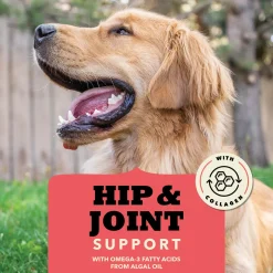 Chewy Strips Hip & Joint Support Beef Recipe Dog Treats