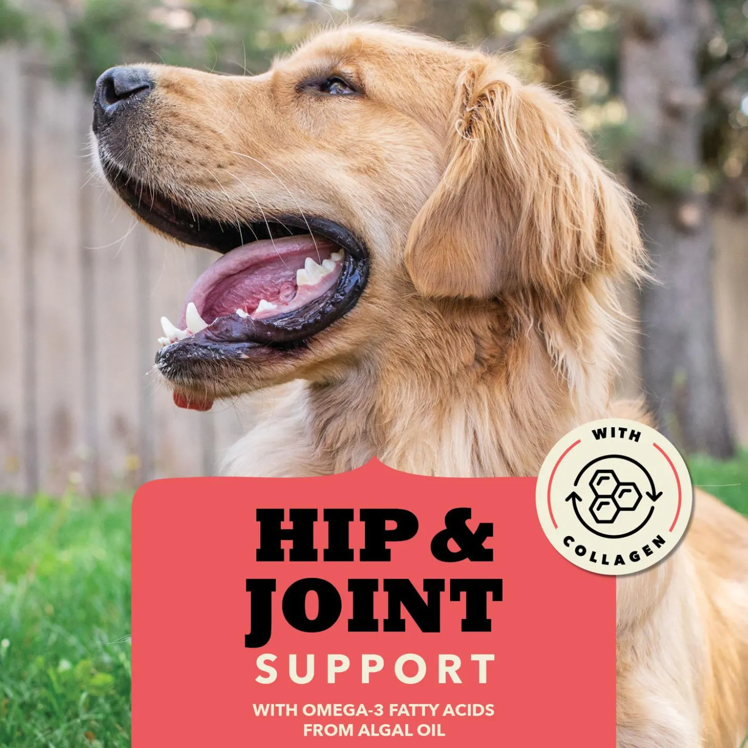Chewy Strips Hip & Joint Support Beef Recipe Dog Treats