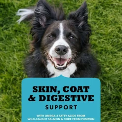 Chewy Strips Skin Coat & Digestive Support Salmon Recipe Dog Treats