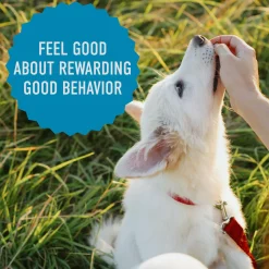 Chewy with Salmon Dog Treats