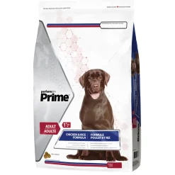 Chicken & Rice Formula Adult Dog Food