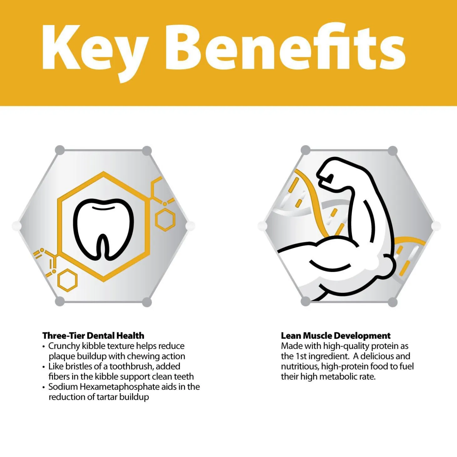 Chicken & Rice Formula Large Breed Puppy Dog Food