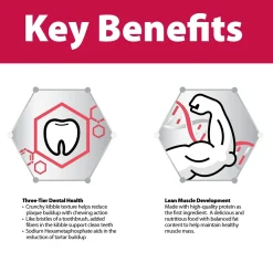 Chicken & Rice Formula Large Breed Adult Dog Food