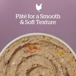 Chicken & Salmon Pate Senior Dog Food