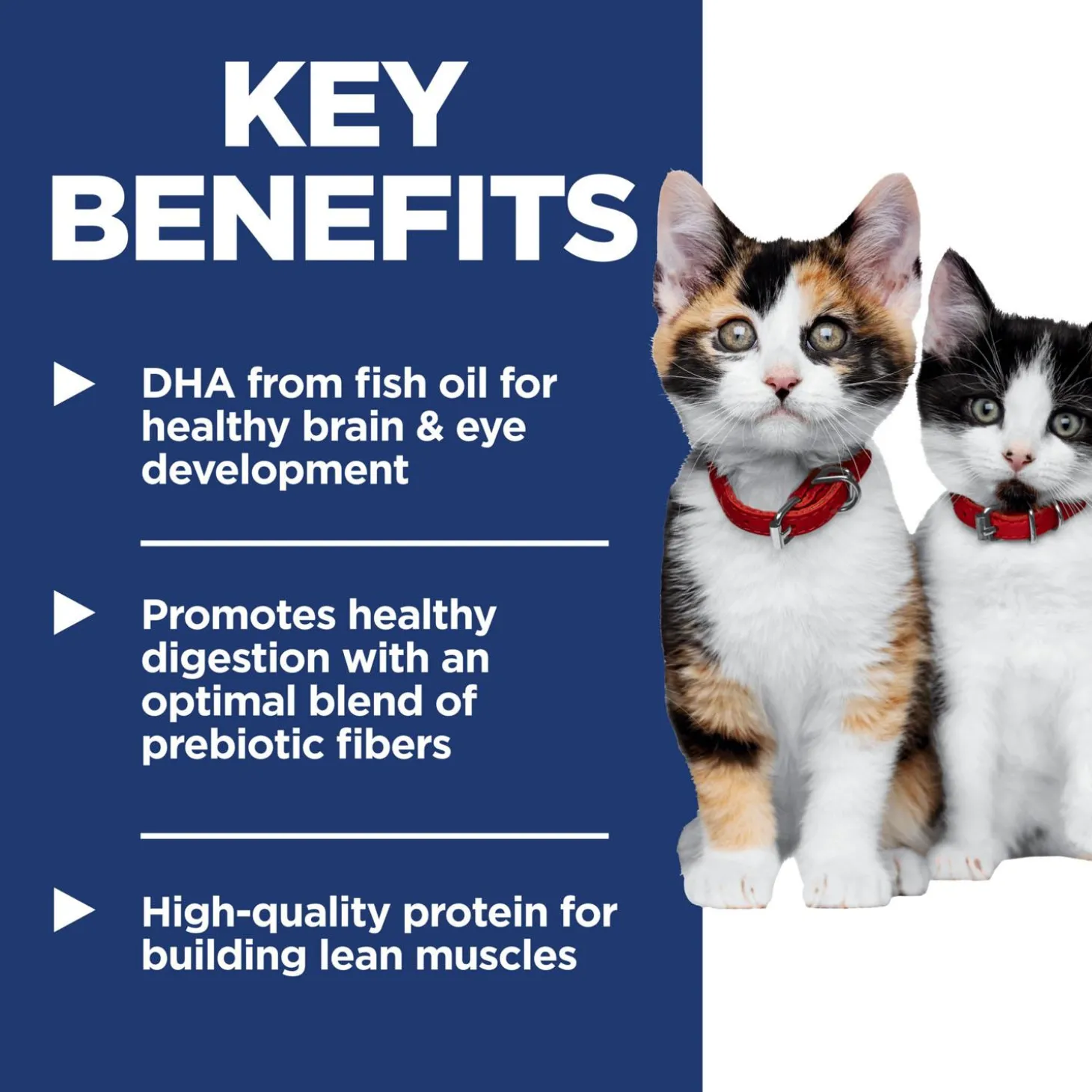 Chicken & Vegetables Stew Kitten Cat Food