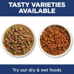 Chicken & Vegetables Stew Kitten Cat Food