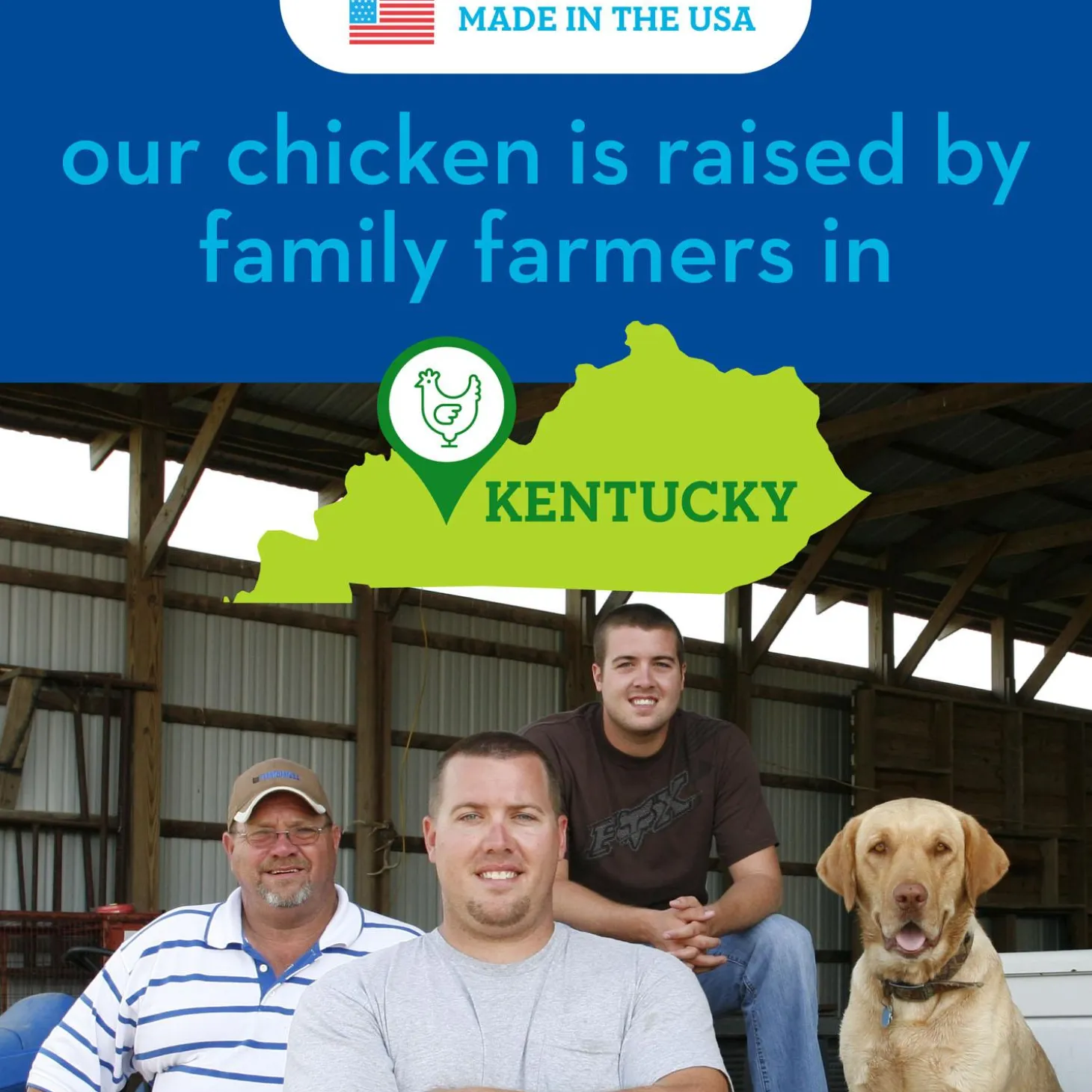 Chicken Apple Sausage Recipe Dog Treats