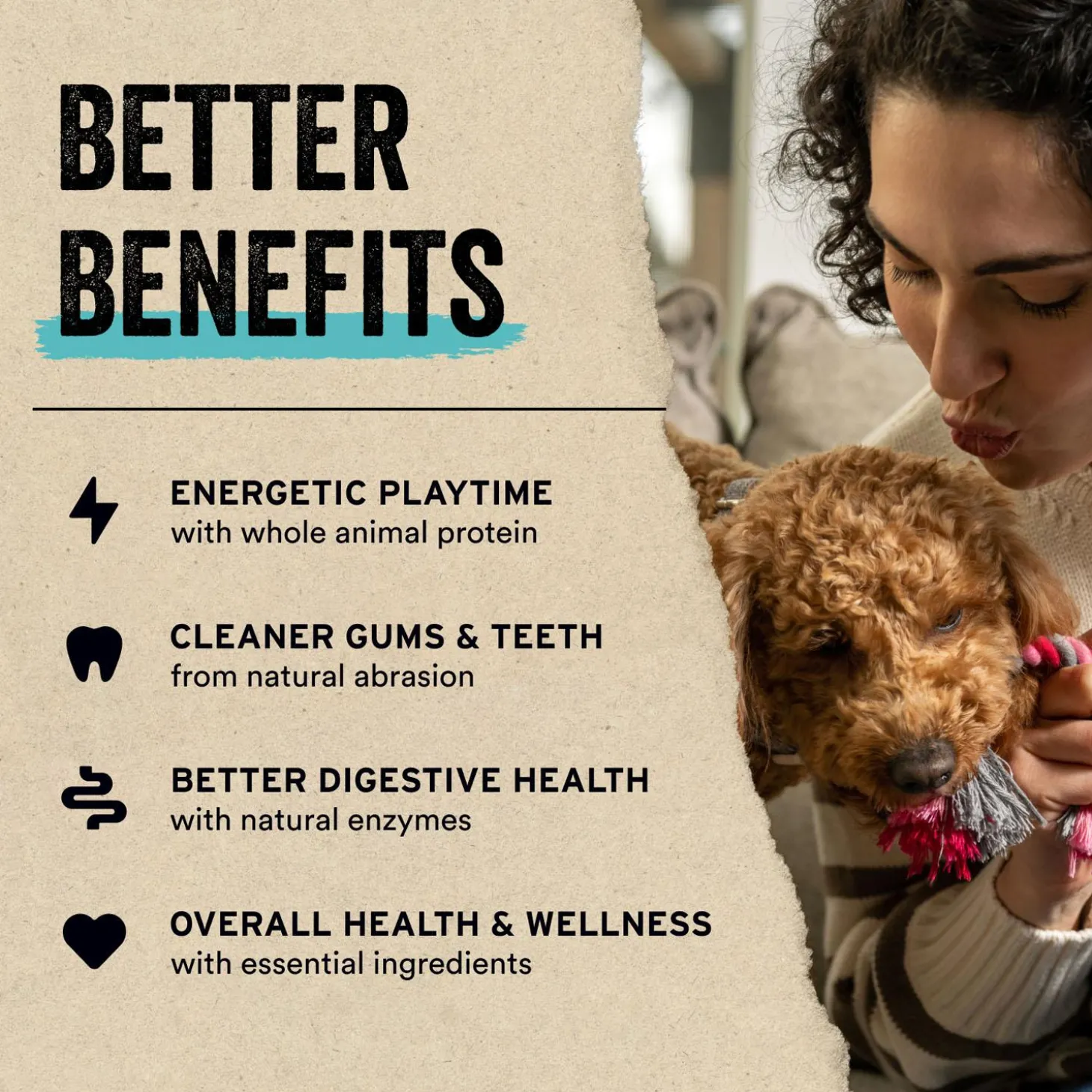 Chicken Entree Mini Patties Dog Food