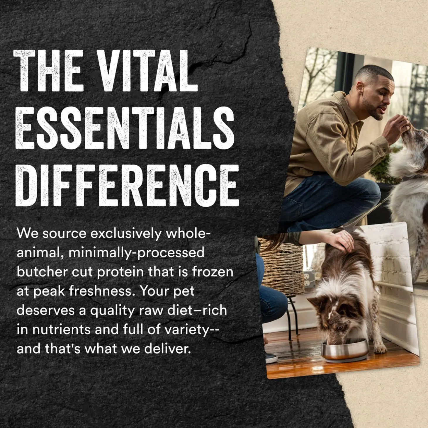 Chicken Entree Mini Patties Dog Food