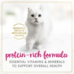 Chicken Feast Pate Adult Cat Food