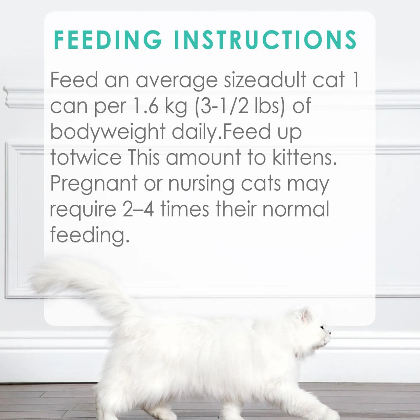 Chicken Feast Pate Adult Cat Food