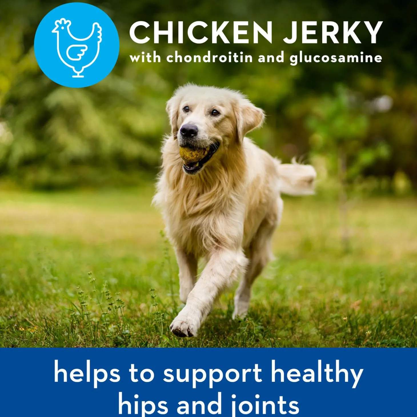 Chicken Jerky Hip + Joint Dog Treats