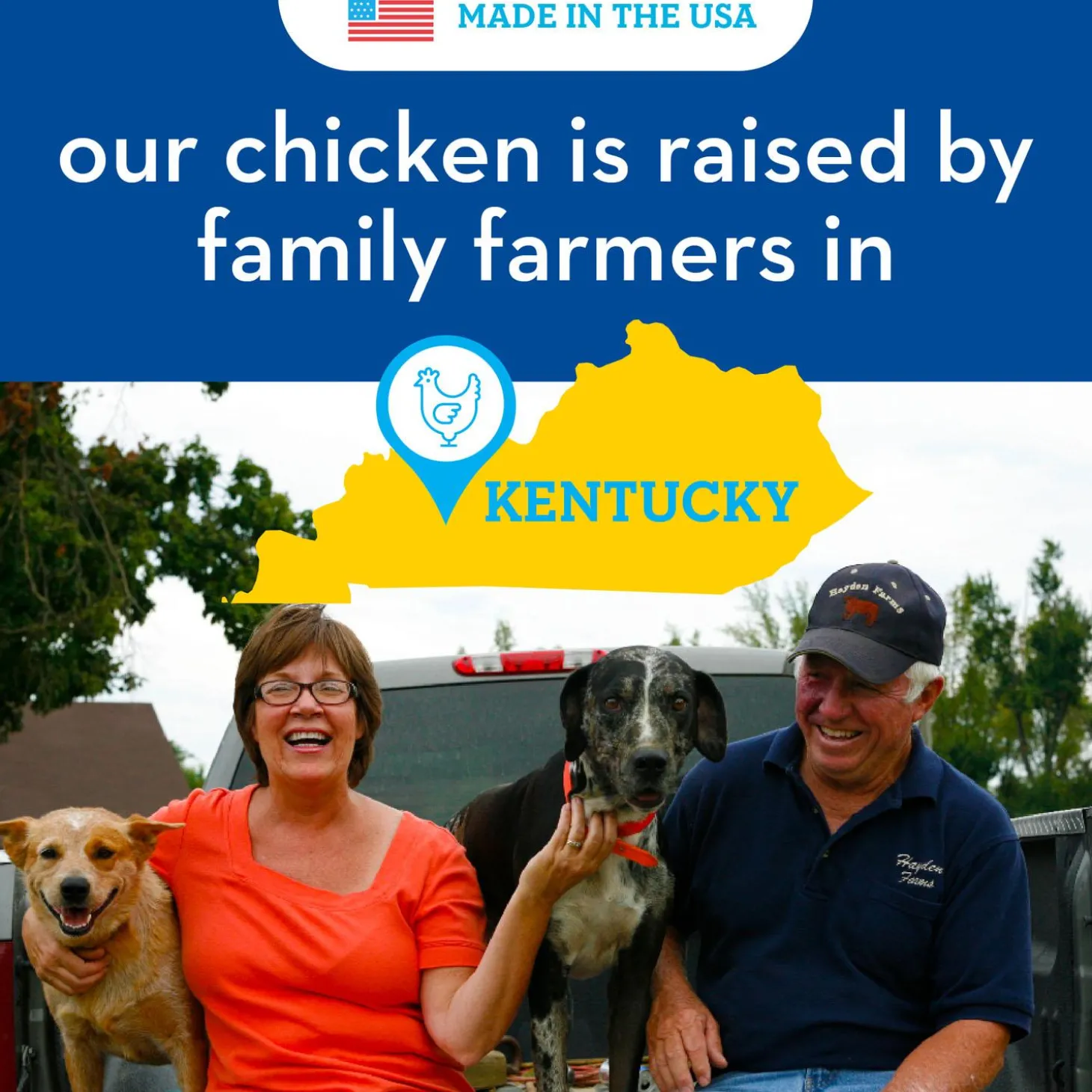 Chicken Jerky Hip + Joint Dog Treats