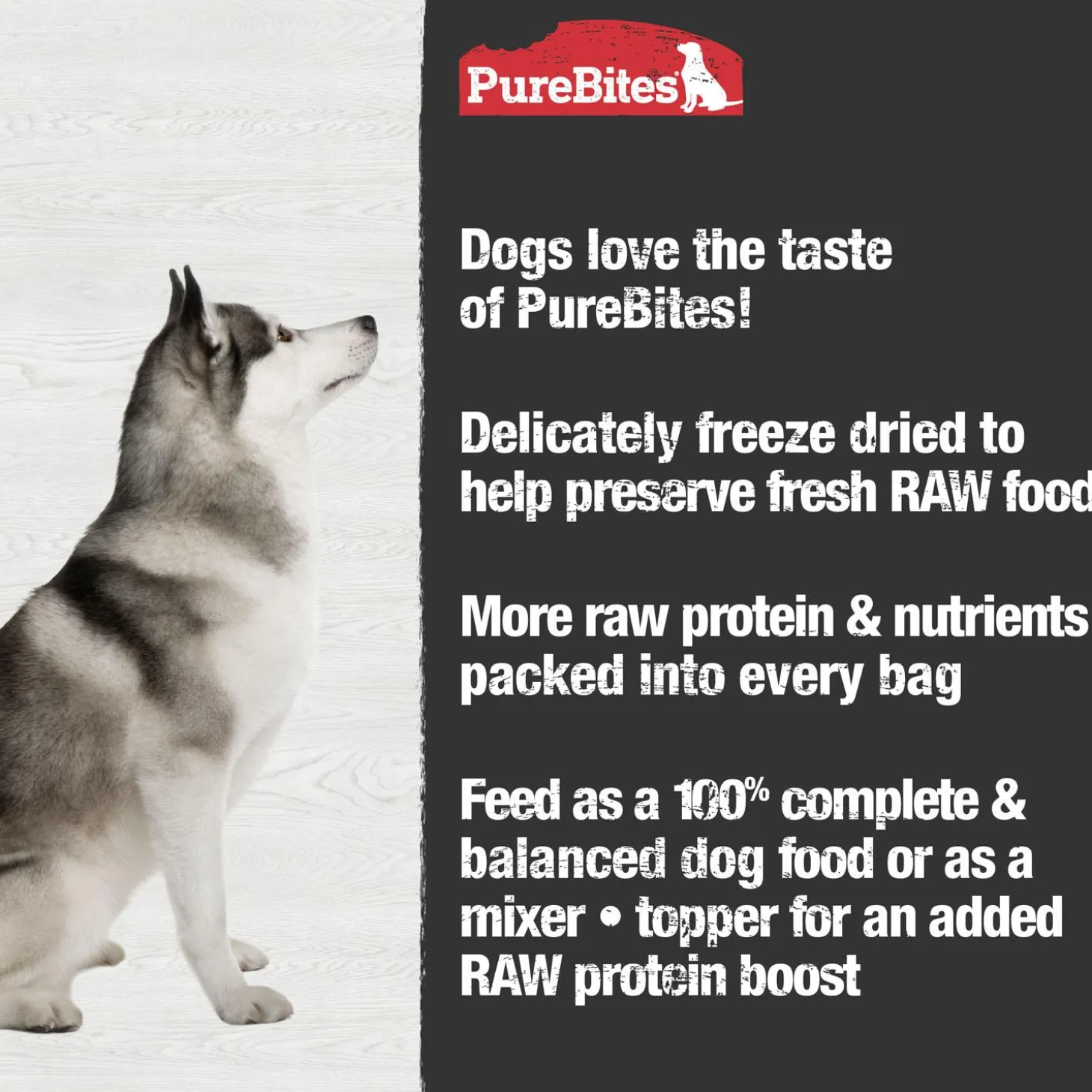 Chicken Recipe Dog Food