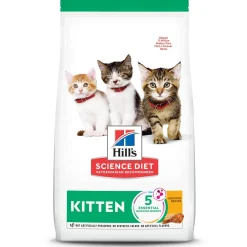 Chicken Recipe Kitten Cat Food