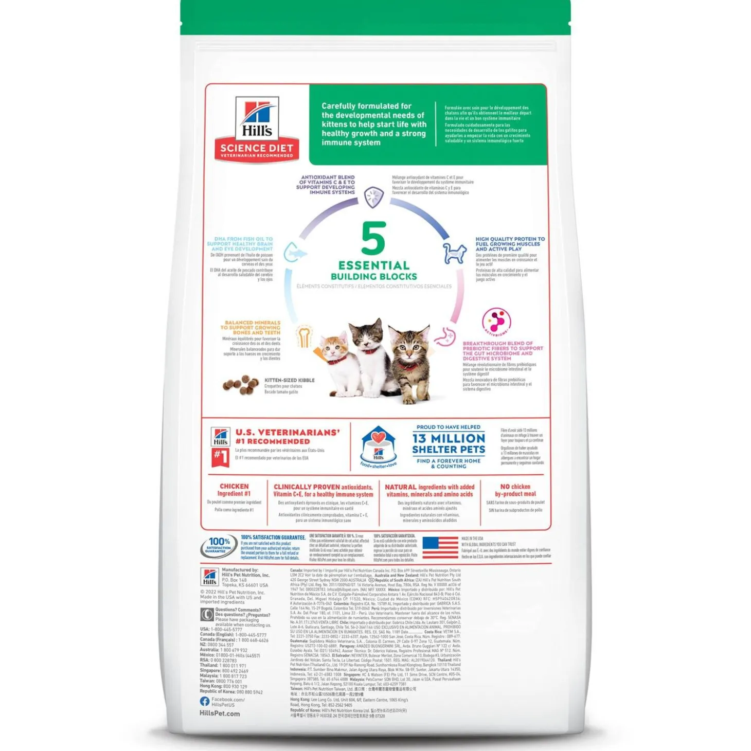 Chicken Recipe Kitten Cat Food