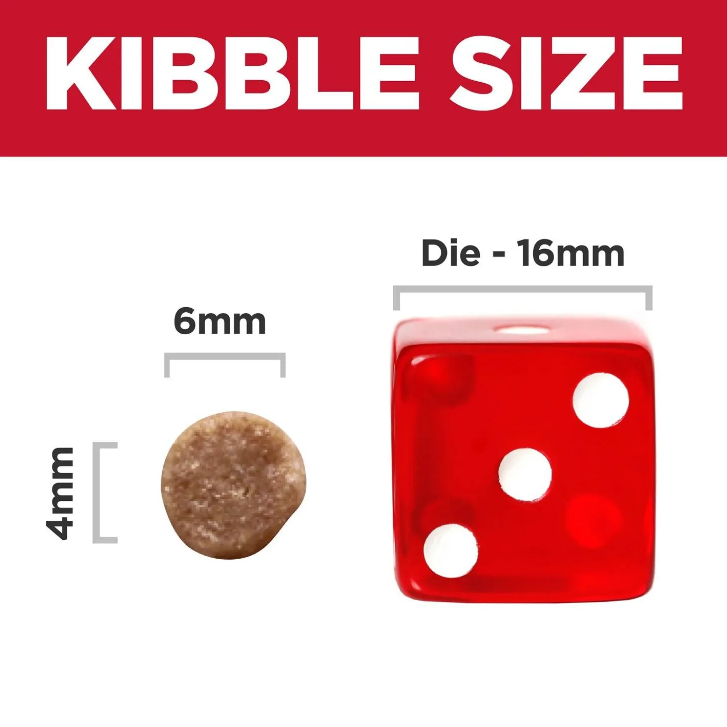 Chicken Recipe Kitten Cat Food