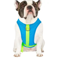 Chill Seeker Blue Cooling Harness