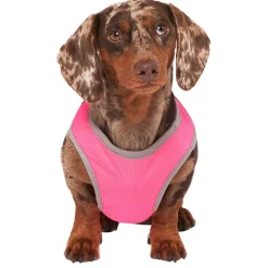 Chill Seeker Neon Pink Cooling Vest