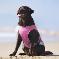Chill Seeker Neon Pink Cooling Vest
