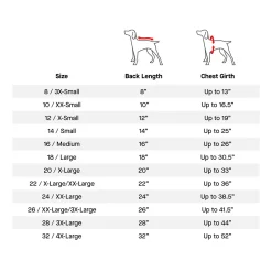 Chill Seeker Neon Pink Cooling Vest