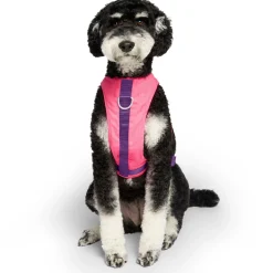 Chill Seeker Neon Pink Cooling Harness