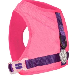 Chill Seeker Neon Pink Cooling Harness