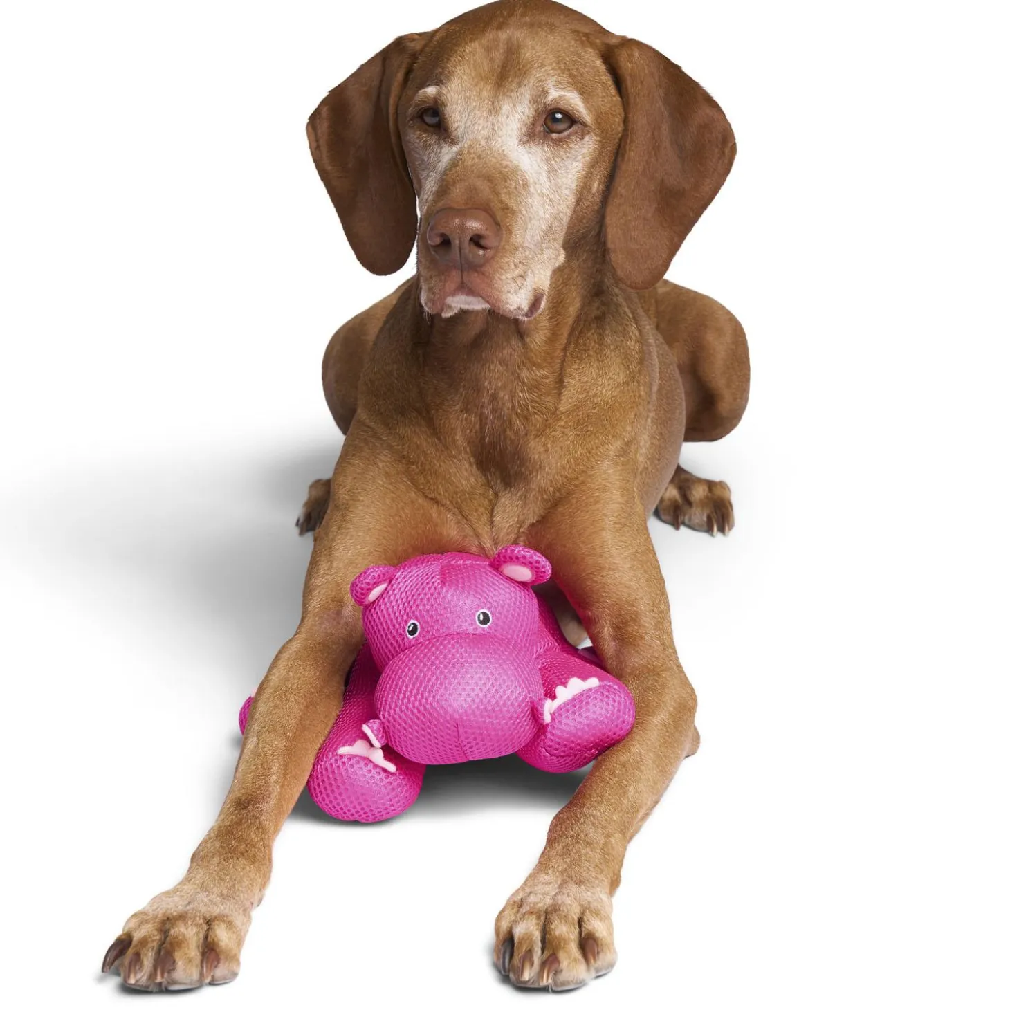 Chill Seeker Pink Hippo Cooling Pals Dog Toy
