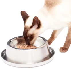 Chilled Pet Bowl
