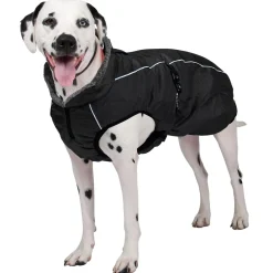 Chinook Black Dog Coat