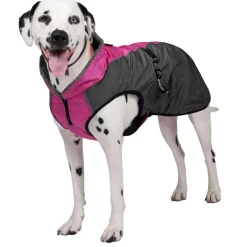 Chinook Pink & Grey Coat