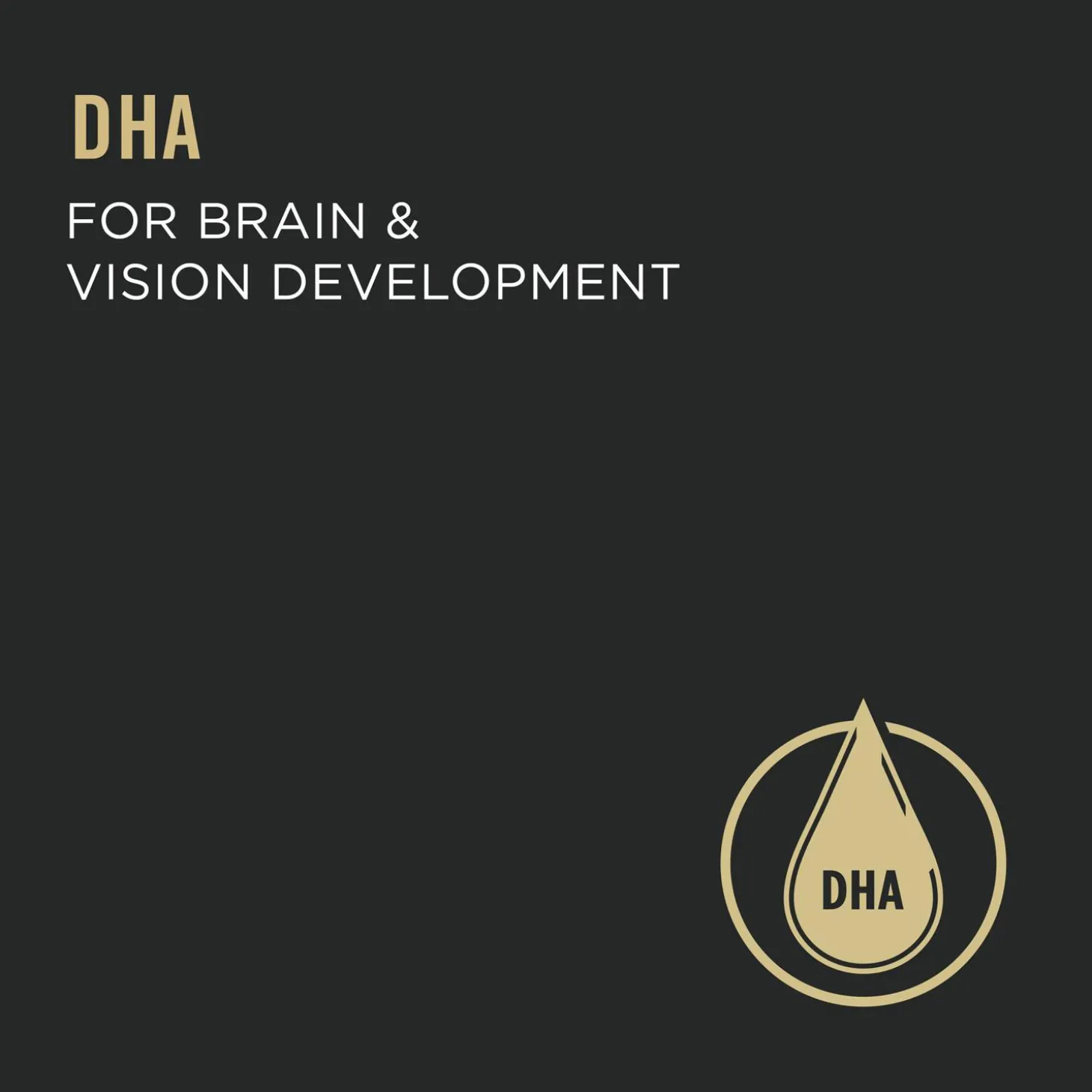 Classic Development Chicken & Liver Entree Kitten Cat Food