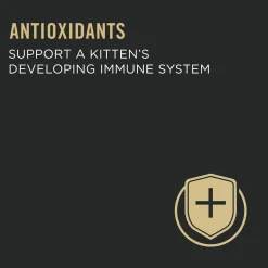 Classic Development Chicken & Liver Entree Kitten Cat Food