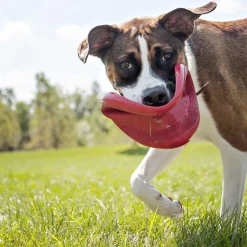 Classic Flyer Dog Toy