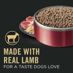 Classic Sensitive Skin & Stomach Lamb & Oat Meal Entree Adult Dog Food