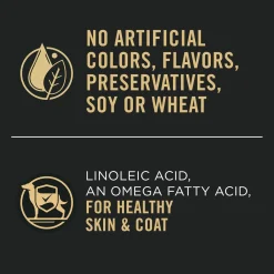 Classic Sensitive Skin & Stomach Turkey & Oat Meal Entree Adult Dog Food