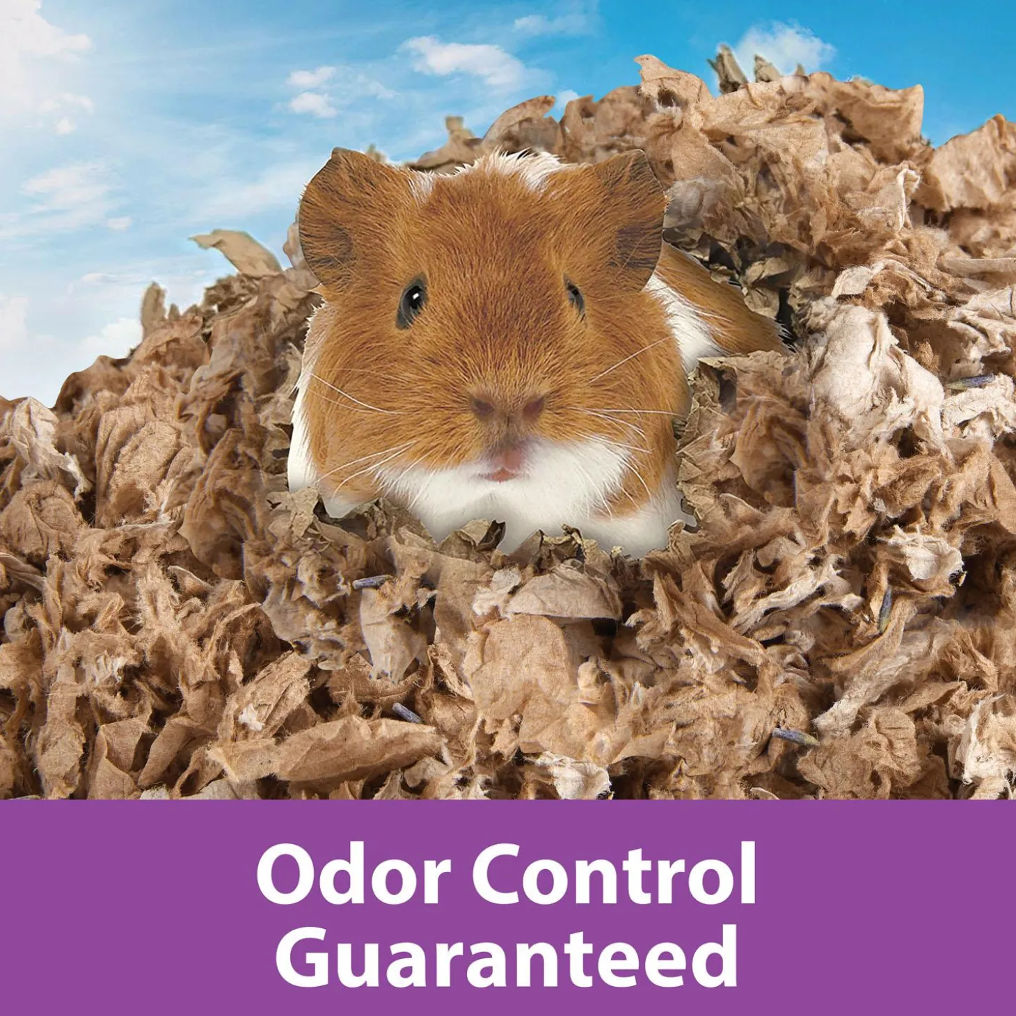 Clean & Cozy Natural with Lavender Paper Bedding